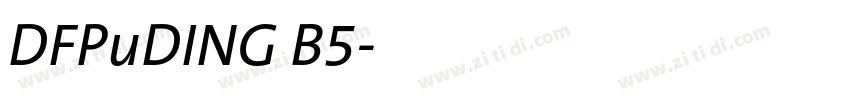 DFPuDING B5字体转换